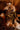 SHALEY'S SHADOWS- BELTED